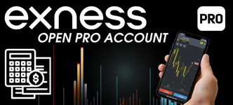 Pro Account  專業帳戶