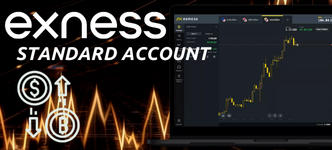 Standard Account  標準帳戶